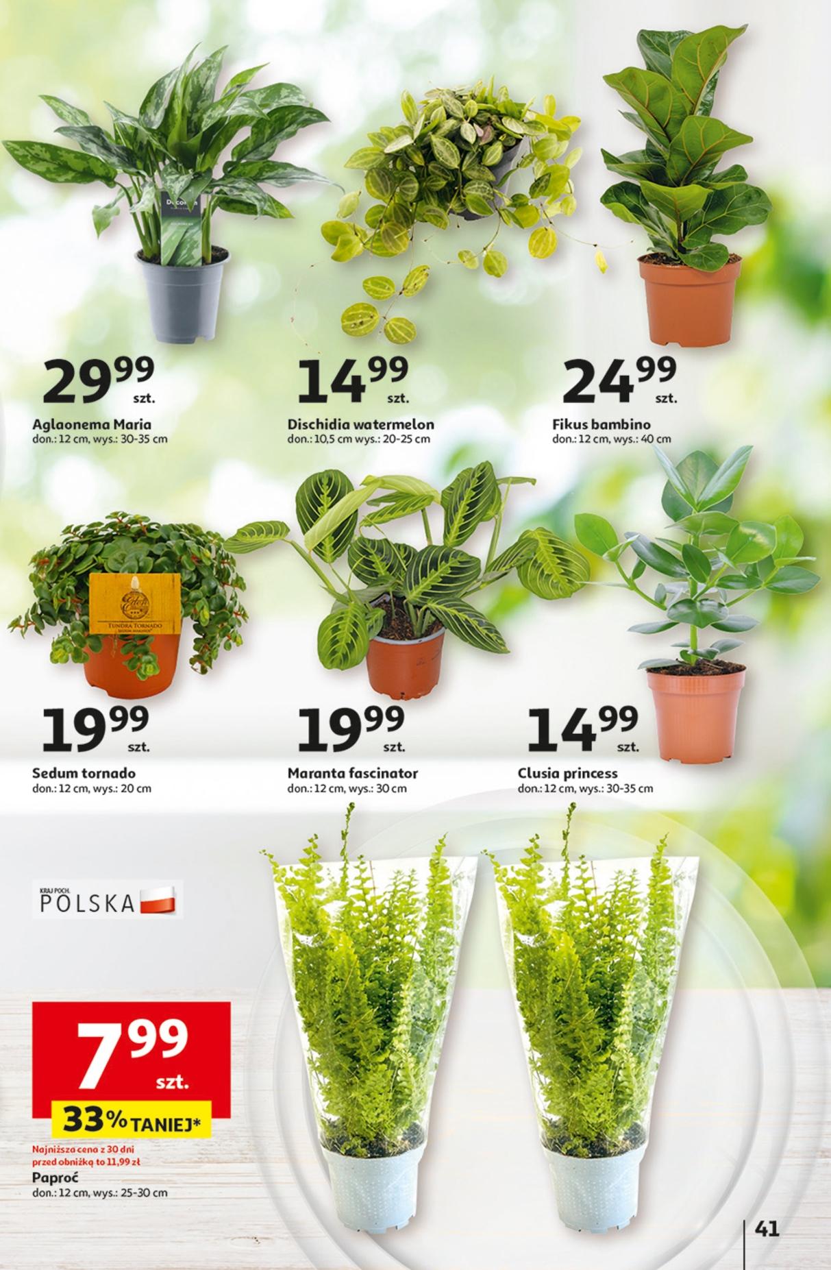 Gazetka promocyjna Auchan str. 50