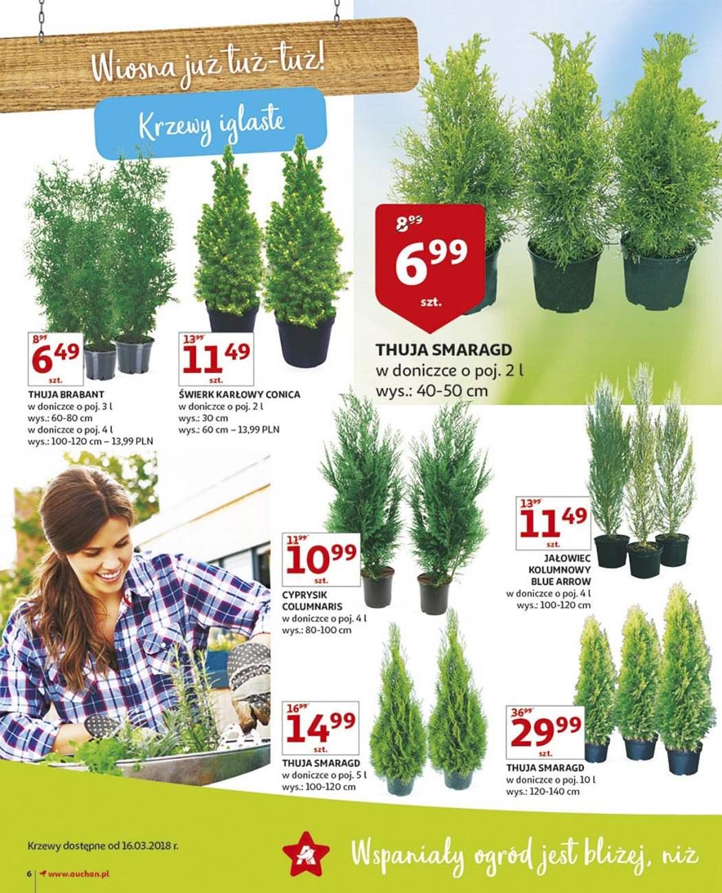 Gazetka promocyjna Auchan str. 6