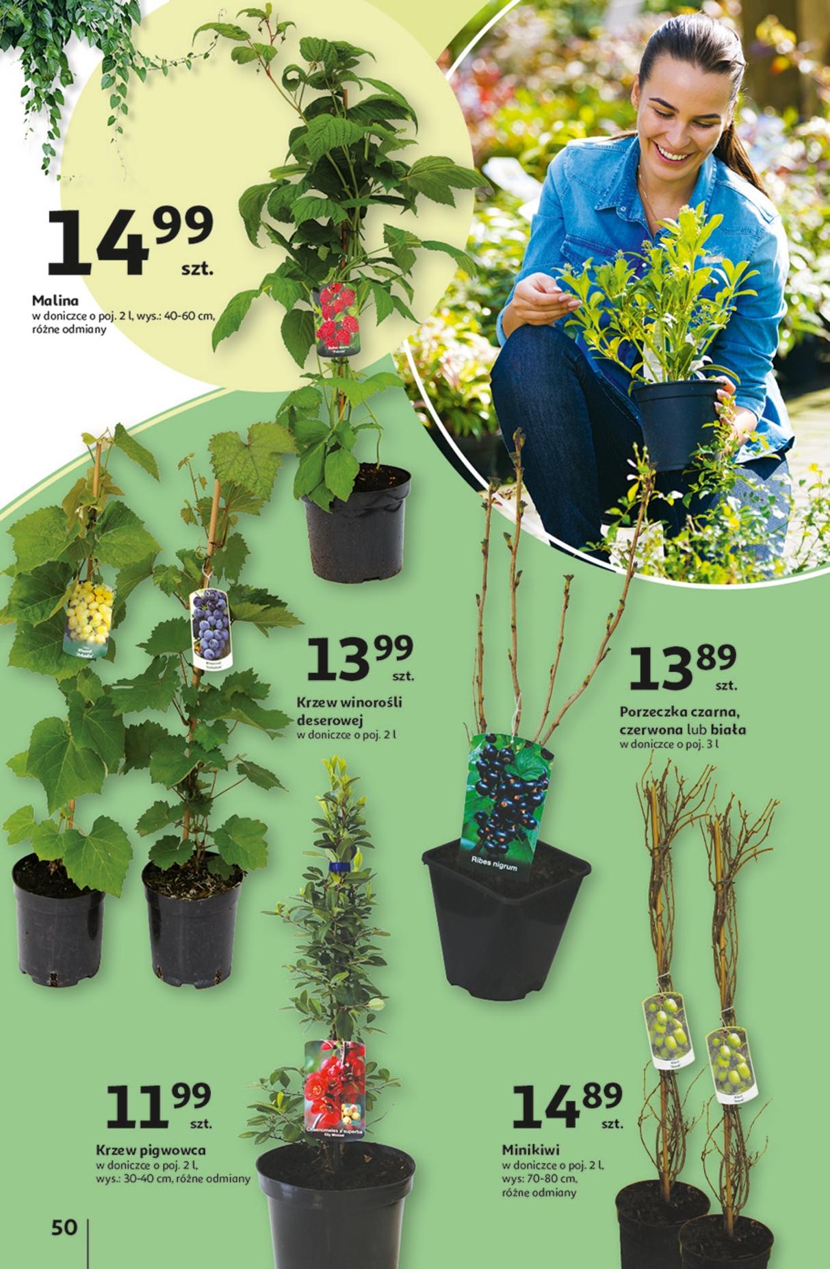 Gazetka promocyjna Auchan str. 50