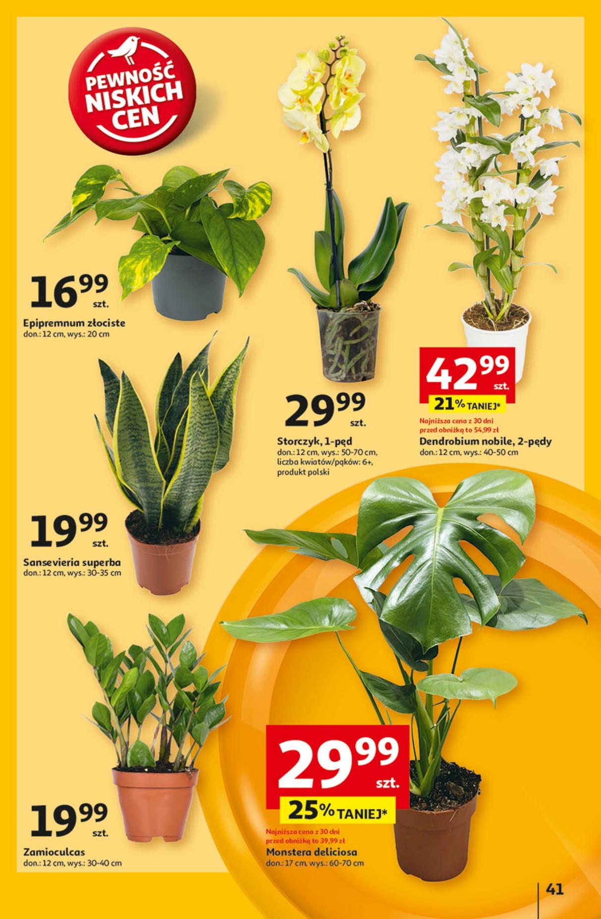Gazetka promocyjna Auchan str. 49