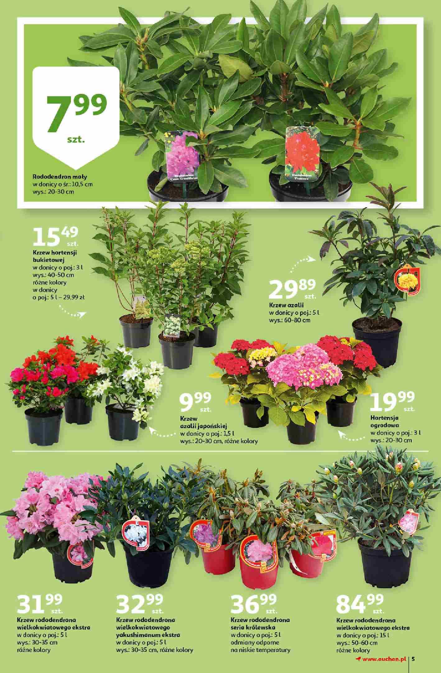 Gazetka promocyjna Auchan str. 5