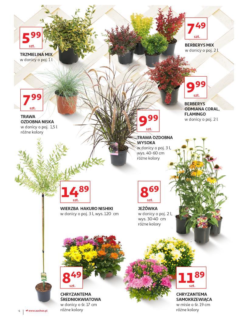Gazetka promocyjna Auchan str. 4