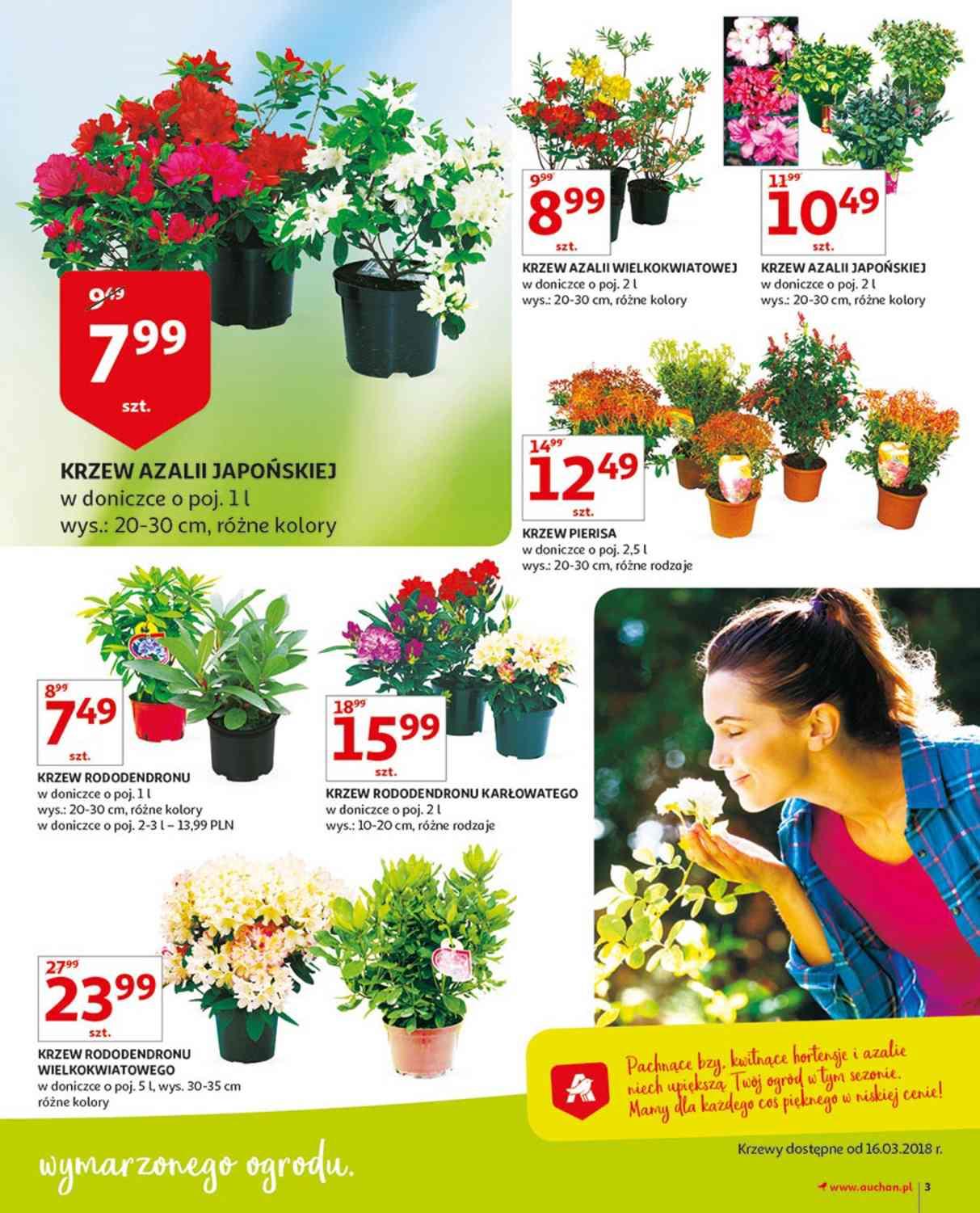 Gazetka promocyjna Auchan str. 3