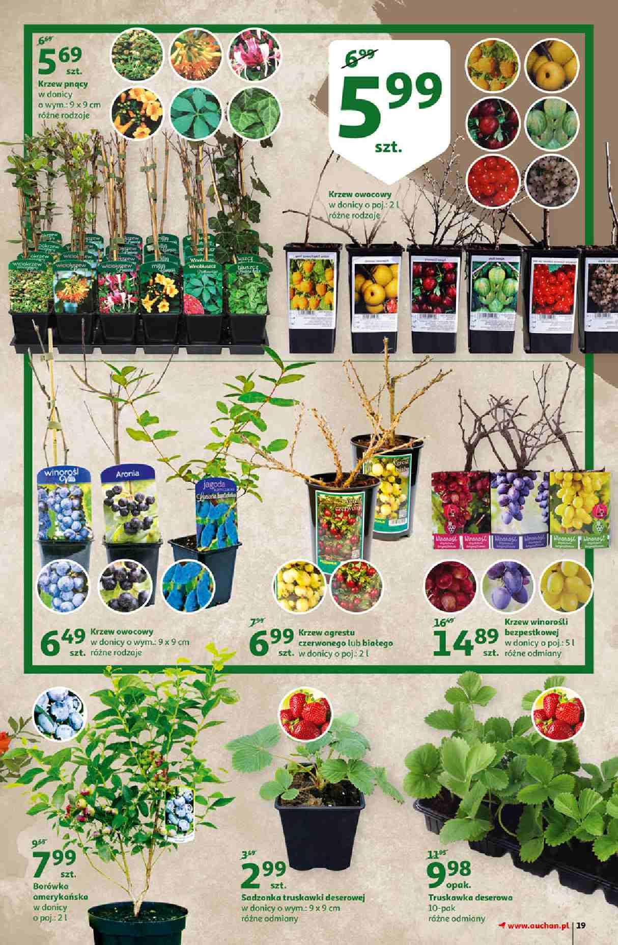 Gazetka promocyjna Auchan str. 19