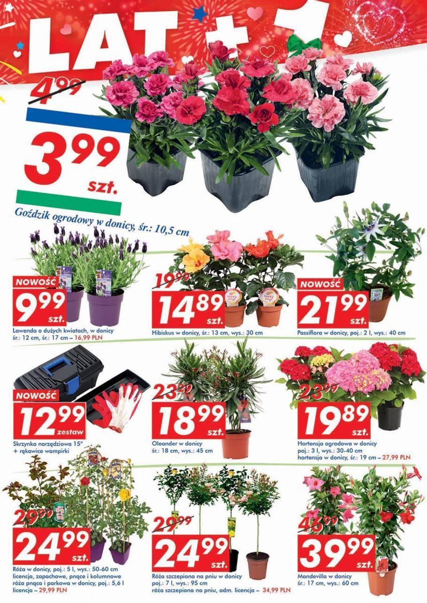 Gazetka promocyjna Auchan str. 21